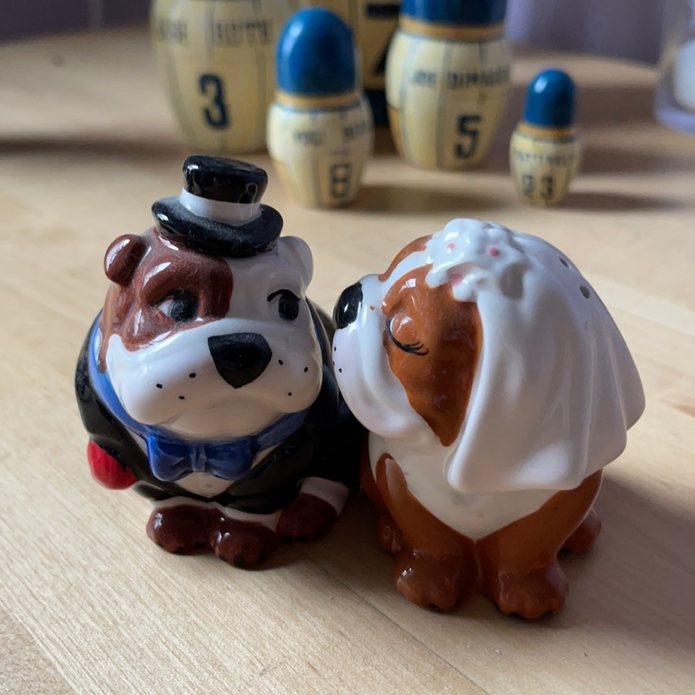 Magnetic salt and pepper shaker